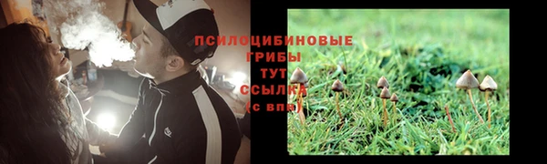 мескалин Кулебаки
