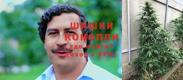 амф Кукмор