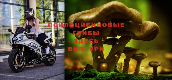 амф Кукмор